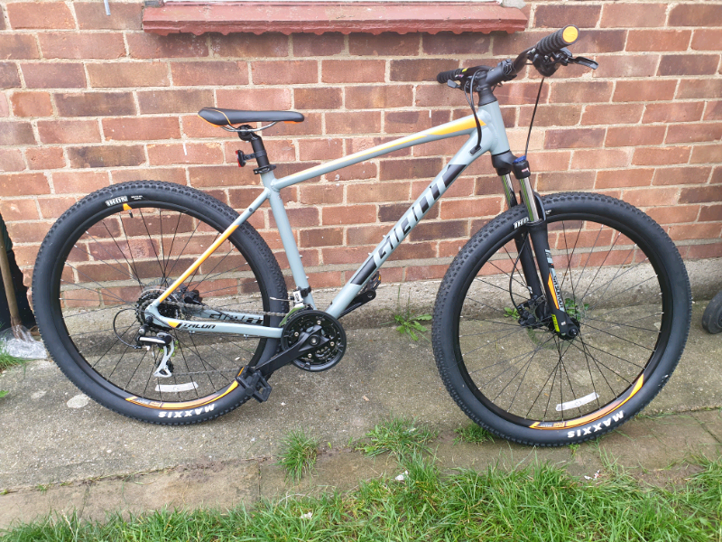 talon 3 29er 2019